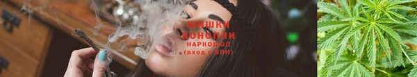 эйфоретик Вязники