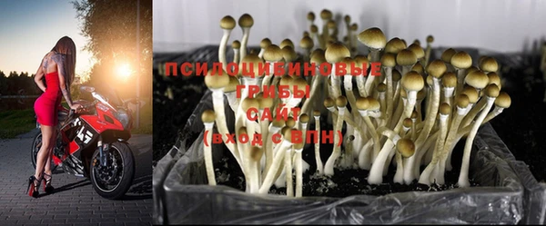 кристаллы Нея