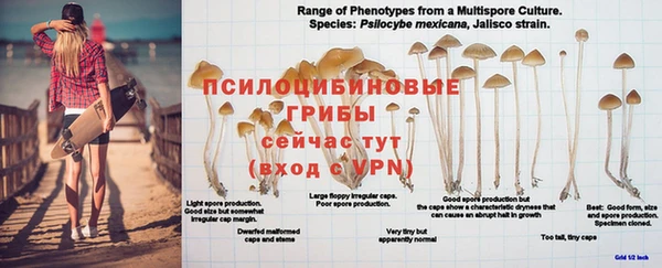 каннабис Нефтегорск