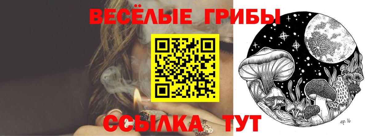Псилоцибиновые грибы MAGIC MUSHROOMS  Вход с VPN  Канаш  Псилоцибиновые грибы MAGIC MUSHROOMS 