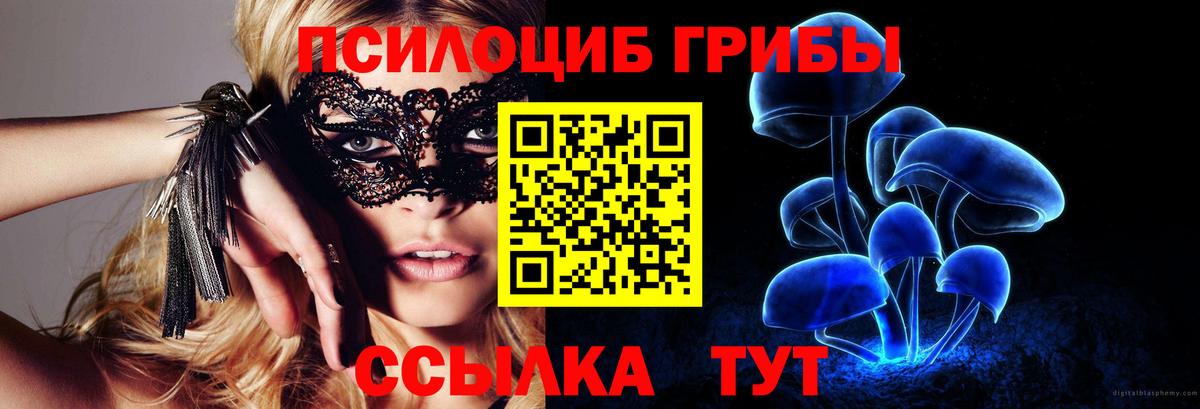 Псилоцибиновые грибы Psilocybine cubensis Канаш